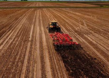 ТҮРКІСТАН: ШАРДАРАДА БИЫЛ ЕГІЛЕТІН ЕГІС КӨЛЕМІ ЖОСПАРЛАНДЫ