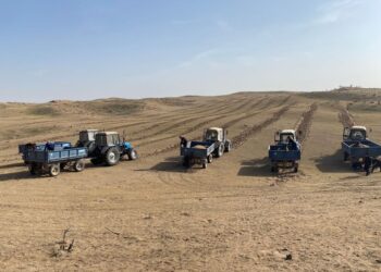 ТҮРКІСТАН ОБЛЫСЫНДА ОРМАН ҚОРЫН МОЛАЙТУ БОЙЫНША ЖҰМЫСТАР БАҚЫЛАУДА 