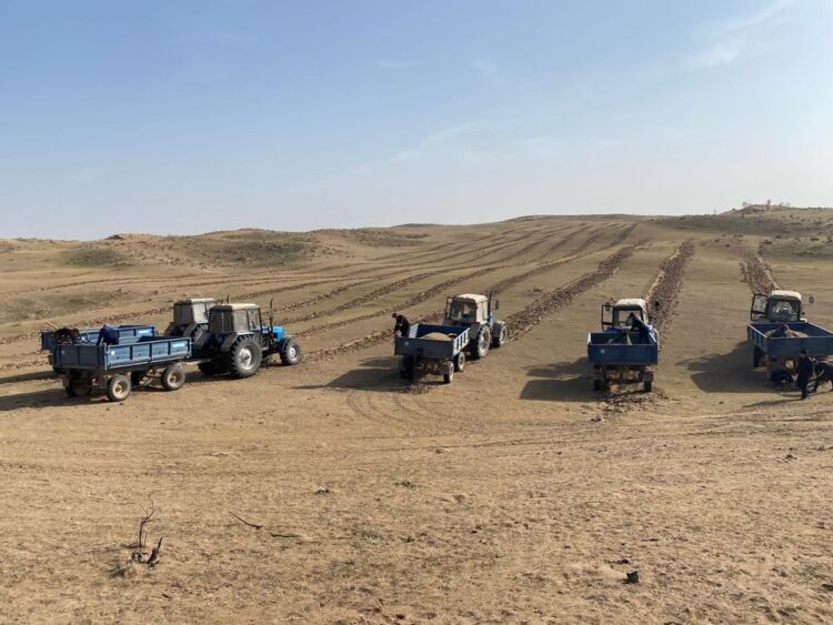 ТҮРКІСТАН ОБЛЫСЫНДА ОРМАН ҚОРЫН МОЛАЙТУ БОЙЫНША ЖҰМЫСТАР БАҚЫЛАУДА 