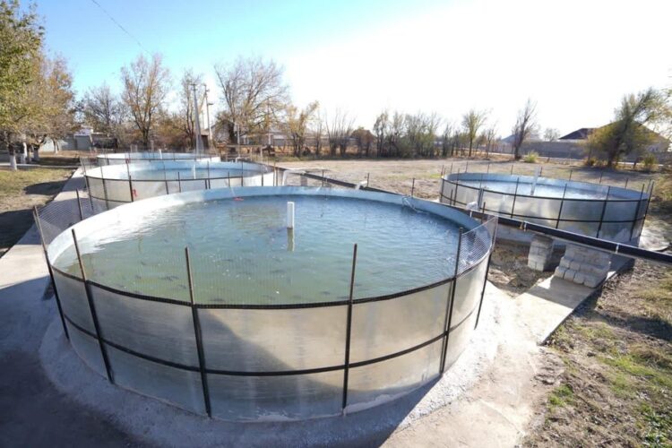 ТҮРКІСТАН ОБЛЫСЫНДА БАЛЫҚ ШАРУАШЫЛЫҒЫМЕН АЙНАЛЫСУШЫЛАР ҚАТАРЫ АРТЫП КЕЛЕДІ