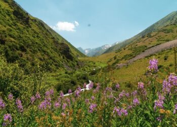 ТҮРКІСТАН: «АҚСУ-ЖАБАҒЫЛЫ» ШИПАЖАЙЫ МОДЕРНИЗАЦИЯДАН ӨТІП, ҚОСЫМША 250 ОРЫНДЫҚ ҒИМАРАТ САЛЫНАДЫ