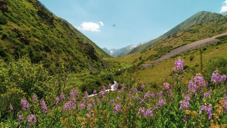 ТҮРКІСТАН: «АҚСУ-ЖАБАҒЫЛЫ» ШИПАЖАЙЫ МОДЕРНИЗАЦИЯДАН ӨТІП, ҚОСЫМША 250 ОРЫНДЫҚ ҒИМАРАТ САЛЫНАДЫ