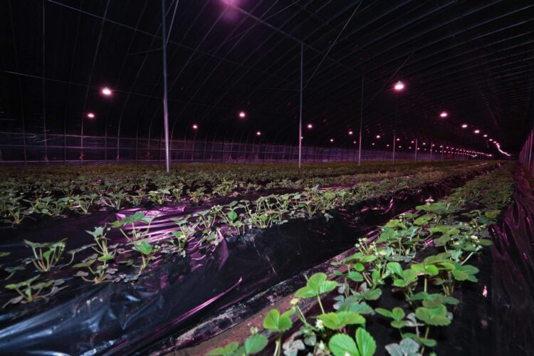 ТҮРКІСТАН: САУРАН АУДАНЫНДА КООПЕРАТИВ ТӘУЛІГІНЕ 2 ТОННА СҮТ ӨНІМІН ӨНДІРЕДІ