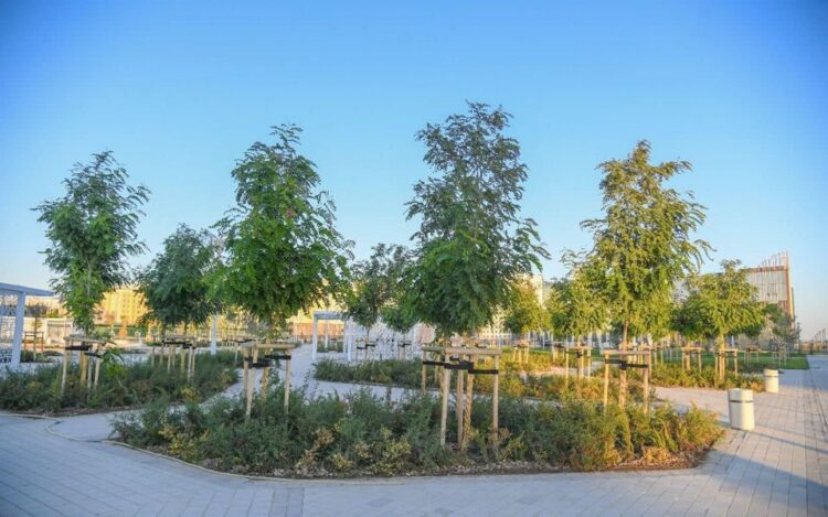 ТҮРКІСТАН ОБЛЫСЫН КӨГАЛДАНДЫРУ, АБАТТАНДЫРУ САЛАСЫНДАҒЫ ЖОСПАРЛАР ЖАН-ЖАҚТЫ ТАЛҚЫЛАНДЫ