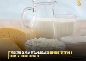 ТҮРКІСТАН: САУРАН АУДАНЫНДА КООПЕРАТИВ ТӘУЛІГІНЕ 2 ТОННА СҮТ ӨНІМІН ӨНДІРЕДІ