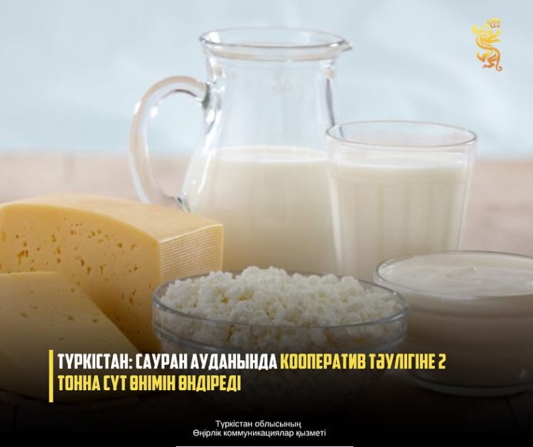 ТҮРКІСТАН: САУРАН АУДАНЫНДА КООПЕРАТИВ ТӘУЛІГІНЕ 2 ТОННА СҮТ ӨНІМІН ӨНДІРЕДІ