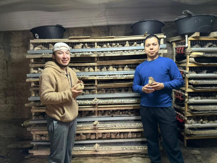 ТҮРКІСТАНДЫҚ ШАРУА ТӘУЛІГІНЕ 1 300-ГЕ ЖУЫҚ БӨДЕНЕ ЖҰМЫРТҚАСЫН САТАДЫ