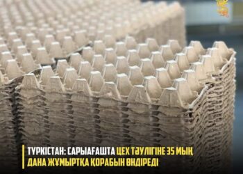 ТҮРКІСТАН: САРЫАҒАШТА ЦЕХ ТӘУЛІГІНЕ 35 МЫҢ ДАНА ЖҰМЫРТҚА ҚОРАБЫН ӨНДІРЕДІ