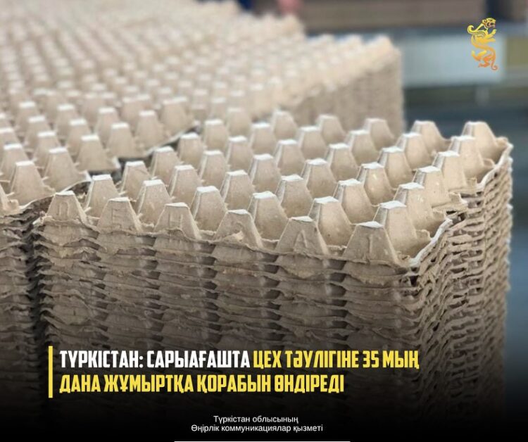 ТҮРКІСТАН: САРЫАҒАШТА ЦЕХ ТӘУЛІГІНЕ 35 МЫҢ ДАНА ЖҰМЫРТҚА ҚОРАБЫН ӨНДІРЕДІ