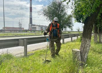 МӘДЕНИЕТ МАМАНДАРЫ ТАЗАЛЫҚҚА АТСАЛЫСТЫ