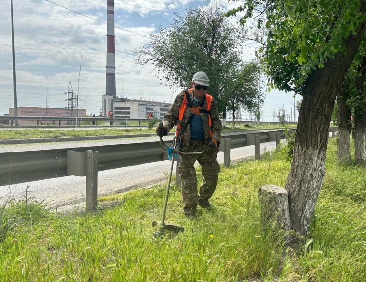 МӘДЕНИЕТ МАМАНДАРЫ ТАЗАЛЫҚҚА АТСАЛЫСТЫ