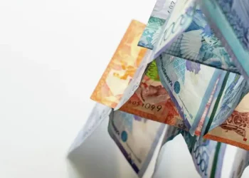 Қаржы пирамидаларының түрлері