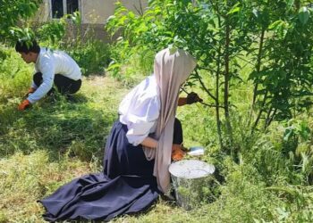 «ӨНЕГЕЛІ ҰРПАҚ» АПТАЛЫҒЫ: ТАЗАЛЫҚ ЖҰМЫСЫ ӘРІ ӨНЕГЕ, ӘРІ ИГІ ІС