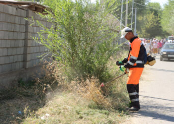  ТҮРКІСТАН: «ТАЗА ҚАЗАҚСТАН» АЯСЫНДА  «ТАЗА АУЫЛ» ЭКОАКЦИЯСЫ ӨТТІ