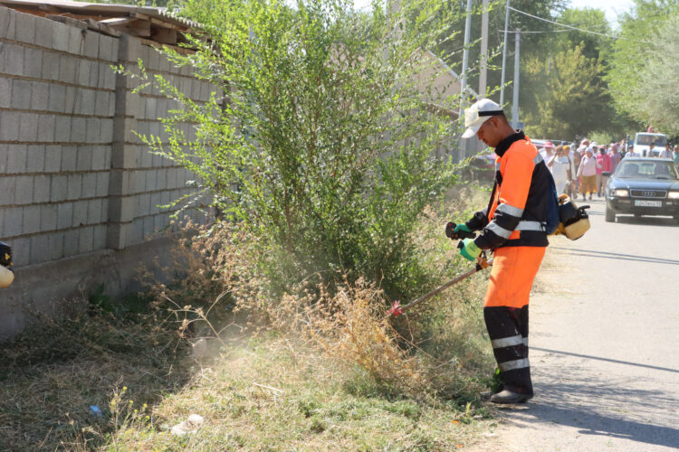 ТҮРКІСТАН: «ТАЗА ҚАЗАҚСТАН» АЯСЫНДА «ТАЗА АУЫЛ» ЭКОАКЦИЯСЫ ӨТТІ