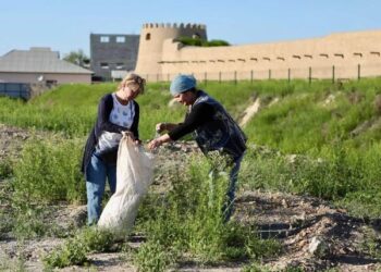 ТҮРКІСТАНДА 900-ГЕ ЖУЫҚ КӨШЕНІҢ ТАЗАЛЫҒЫ КҮНДЕЛІКТІ ЖҮРГІЗІЛЕДІ