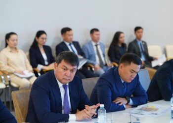 ТҮРКІСТАНДАҒЫ АРНАЙЫ ЭКОНОМИКАЛЫҚ ЖӘНЕ ИНДУСТРИАЛДЫ АЙМАҚТАРДЫҢ ЖҰМЫСЫ ЖАНДАНАДЫ