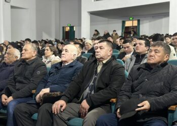 Сайрам: тұрғындарға есеп беру жиынында интернет-алаяқтық мәселесі кеңінен талқыланды