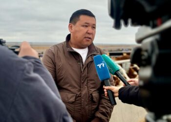 АРЫСТА 50 МЫҢ БАСҚА АРНАЛҒАН МАЛ БОРДАҚЫЛАУ АЛАҢЫ САЛЫНЫП ЖАТЫР