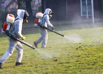 ТҮРКІСТАН ОБЛЫСЫНДА КОНГО-ҚЫРЫМ ГЕМОРОЛОГИЯЛЫҚ ҚЫЗБАСЫНА ҚАРСЫ ЗАЛАЛСЫЗДАНДЫРУ ЖҰМЫСТАРЫ ЖҮРГІЗІЛЕДІ