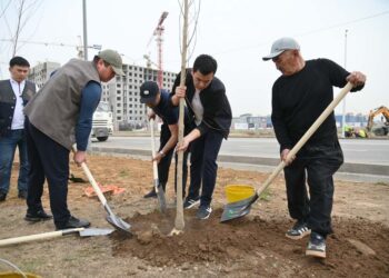 ШЫМКЕНТТЕ ТАЗАРУ КҮНІНДЕ 1 МЫҢНАН АСТАМ ТҮП АҒАШ ЕГІЛДІ