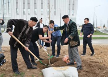 В ШЫМКЕНТЕ В ДЕНЬ ОЧИЩЕНИЯ ПОСАДИЛИ БОЛЕЕ 1 ТЫСЯЧИ САЖЕНЦЕВ ДЕРЕВЬЕВ
