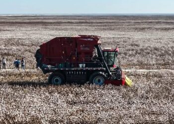 ТУРКЕСТАН: В ЖЕТЫСАЕ РЕАЛИЗУЮТ ПРОЕКТЫ, СВЯЗАННЫЕ С ХЛОПКОВЫМ И МОЛОЧНЫМ КЛАСТЕРАМИ