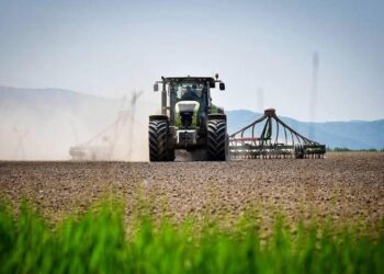 Впервые программа диверсификации посевных площадей охватит порядка 1 млн га