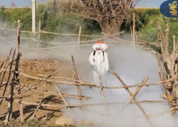 ТҮРКІСТАН ОБЛЫСЫНДА КОНГО-ҚЫРЫМ ГЕМОРАГИЯЛЫҚ ҚЫЗБАСЫ АУРУЫНА ҚАРСЫ ЖҰМЫСТАР ЖҮРГІЗІЛУДЕ