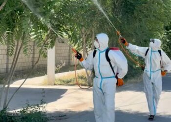 ТҮРКІСТАН: ШАРДАРА АУДАНЫНДА ШІРКЕЙГЕ ҚАРСЫ ЗАЛАЛСЫЗДАНДЫРУ ЖҰМЫСТАРЫ ЖАЛҒАСУДА