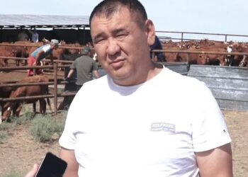 КЕЛЕСТІК ШАРУАШЫЛЫҚ ЖЫЛЫНА 500 ТОННА ЕТ ЭКСПОРТТАЙДЫ