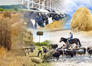 ТҮРКІСТАН: МАЛ АЗЫҒЫН ДАЯРЛАУ ЖҰМЫСЫ ЖӘНЕ АУЫЛ ШАРУАШЫЛЫҒЫ ЗИЯНКЕСТЕРІНЕ ҚАРСЫ КҮРЕС ЖАЛҒАСУДА