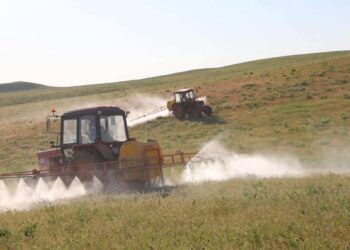 ТҮРКІСТАН ОБЛЫСЫНДА ШЕГІРТКЕ ЗИЯНКЕСТЕРІНЕ ҚАРСЫ 703 МЫҢ ГЕКТАР ЖЕР ДӘРІЛЕНДІ