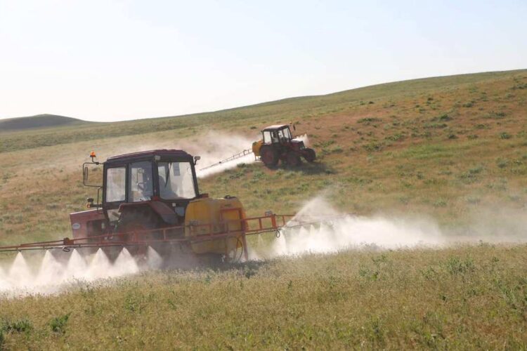 ТҮРКІСТАН ОБЛЫСЫНДА ШЕГІРТКЕ ЗИЯНКЕСТЕРІНЕ ҚАРСЫ 703 МЫҢ ГЕКТАР ЖЕР ДӘРІЛЕНДІ