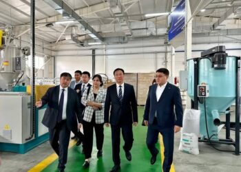 ХЭЙЛУНЦЗЯН ПРОВИНЦИЯСЫНЫҢ ВИЦЕ-ГУБЕРНАТОРЫ КӘСІПОРЫНДАРДЫ АРАЛАДЫ