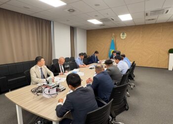 ТҮРКІСТАН: ЖЫЛ БАСЫНАН БЕРІ 24 ЖЕР ҚОЙНАУЫН ПАЙДАЛАНУШЫНЫҢ ЖҰМЫСЫ ТОҚТАТЫЛДЫ