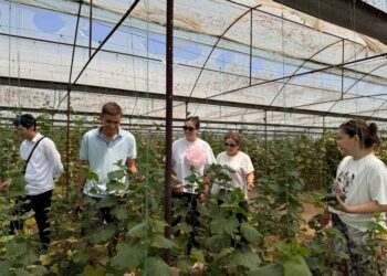 Жастарға бағыт – кәсіби өсуге қадам