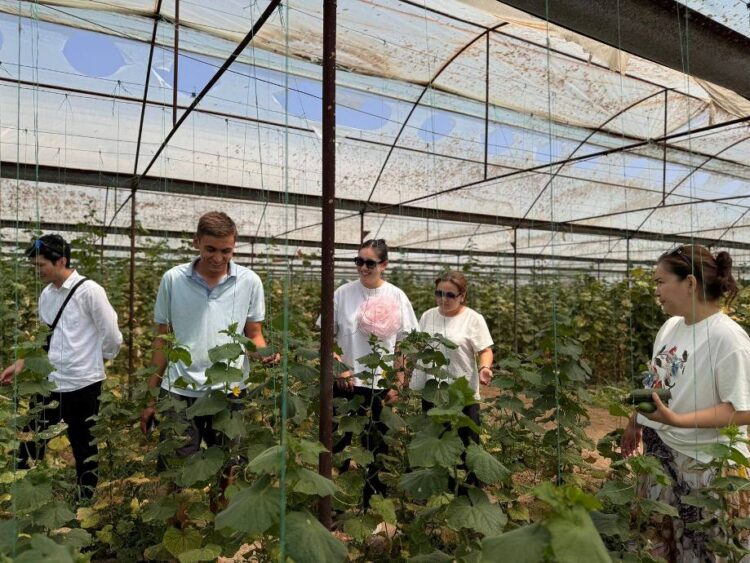 Жастарға бағыт – кәсіби өсуге қадам