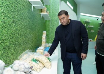 ҚЫТАЙ САПАРЫ АЯСЫНДА ТҮРКІСТАН ОБЛЫСЫНДА САРЫМСАҚТЫ ТЕРЕҢ ӨҢДЕУ ІСІН БАСТАУ БОЙЫНША КЕЛІССӨЗДЕР ЖҮРГІЗІЛДІ