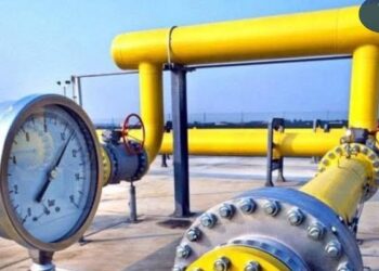 КЕЛЕС АУДАНЫН КӨГІЛДІР ОТЫНМЕН ҚАМТУ КӨРСЕТКІШІ 71 ПАЙЫЗДАН АСТЫ