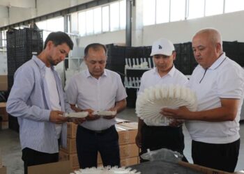 САРЫАҒАШТА ТӘУЛІГІНЕ 100 МЫҢ ДАНА БІР РЕТТІК ЫДЫС-АЯҚ ӨНДІРІЛЕДІ