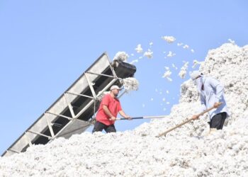 ТҮРКІСТАН ОБЛЫСЫНЫҢ ЖАЛПЫ ӨҢІРЛІК ӨНІМ КӨЛЕМІ 7 ЖЫЛДА 2,6 ЕСЕ ӨСТІ