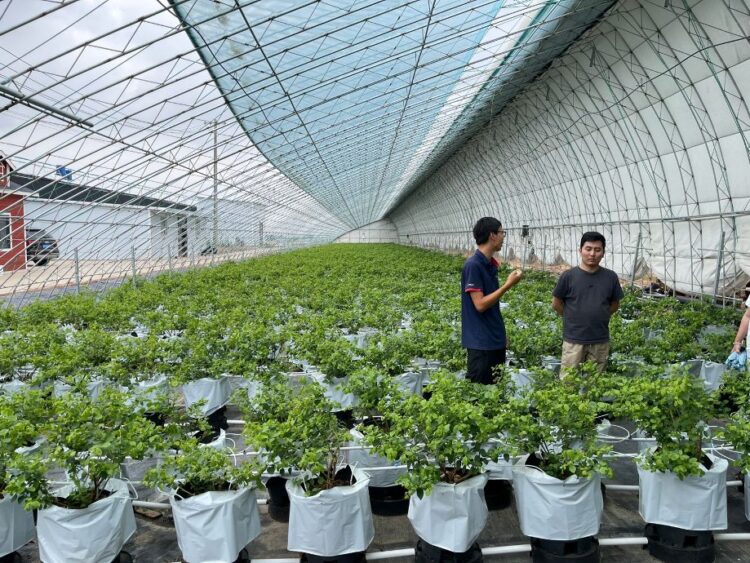 ТҮРКІСТАН ОБЛЫСЫНЫҢ ЖҰМЫСШЫ МАМАНДАР ДАЯРЛАЙТЫН КОЛЛЕДЖ ӨКІЛДЕРІ ҚЫТАЙДА ТӘЖІРИБЕ АЛМАСТЫ