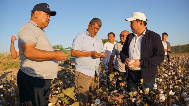 «РАМАЗАН-АГРО» ЖШС – МАҚТА ШАРУАШЫЛЫҒЫНЫҢ СЕНІМДІ ТІРЕГІ
