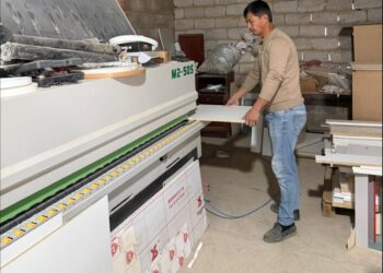 АУЫЛДАҒЫ ШАҒЫН КӘСІПКЕРЛІККЕ ТЫНЫС БЕРГЕН ЖОБА