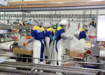 Ордабасы ауданында отандық кәсіпкерлікті дамыту – экономикалық өсудің басты тетігі