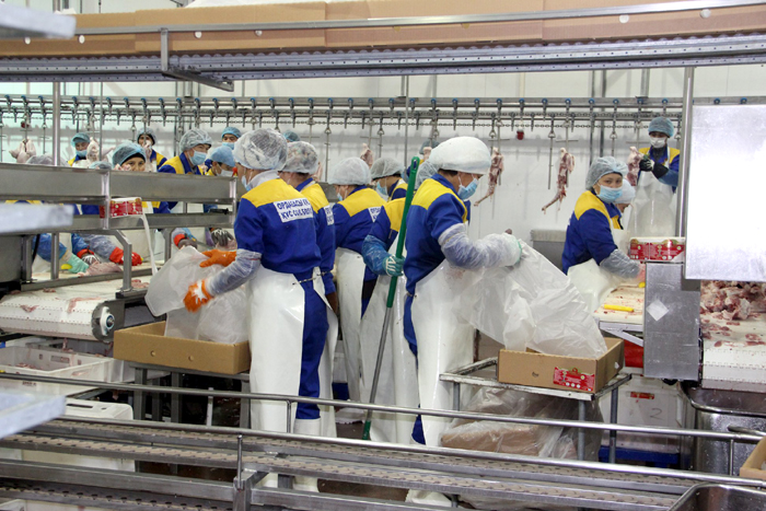 Ордабасы ауданында отандық кәсіпкерлікті дамыту – экономикалық өсудің басты тетігі