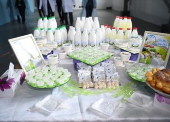 3 тонна ешкі сүтін өндіруге және 24 тонна сүт өңдеуге қауқарлы «Ордабасы ешкі сүт өнімдері» өндірістік кооперативі бүгінде табысты жұмыс жүргізіп келеді.