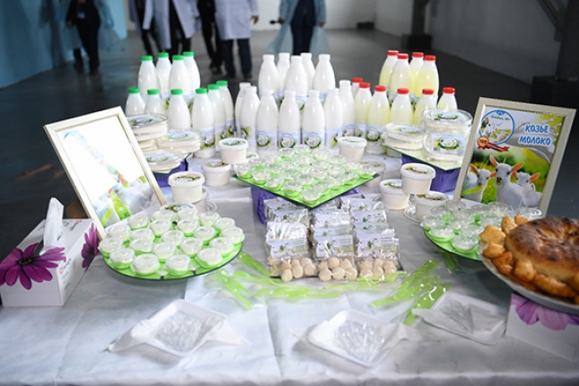 3 тонна ешкі сүтін өндіруге және 24 тонна сүт өңдеуге қауқарлы «Ордабасы ешкі сүт өнімдері» өндірістік кооперативі бүгінде табысты жұмыс жүргізіп келеді.