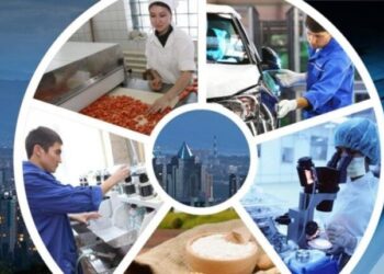 Ордабасы ауданында инженерлік-коммуникациялық желілердің, жолдардың, әлеуметтік нысандардың дамуы кәсіпкерлік қызметтің кеңеюіне қолайлы жағдай туғызуда.